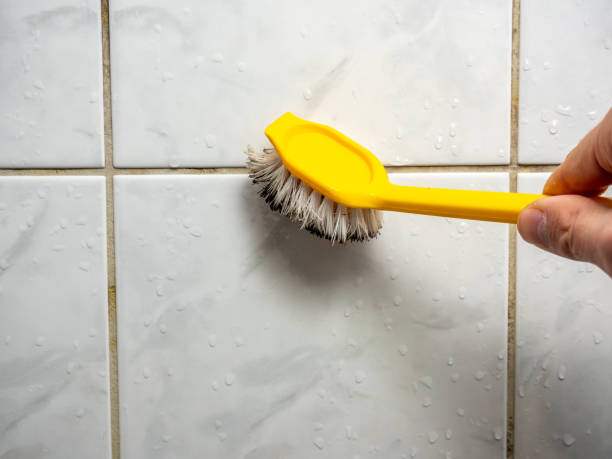 Best Water Damage Restoration  in Jeffersonville, KY