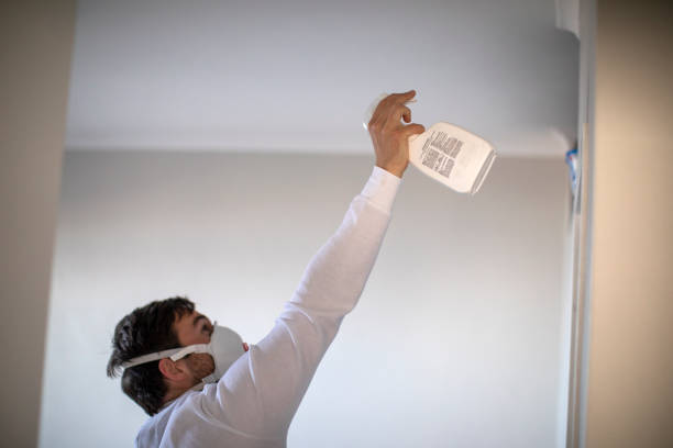 Best Mold Damage Repair  in Jeffersonville, KY
