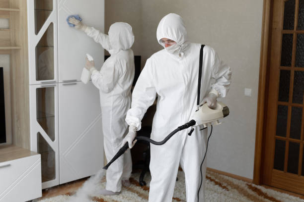 Best Residential Mold Removal  in Jeffersonville, KY