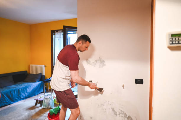 Jeffersonville, KY Mold Removal Company